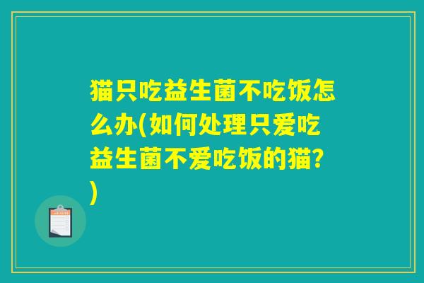 猫只吃益生菌不吃饭怎么办(如何处理只爱吃益生菌不爱吃饭的猫？)