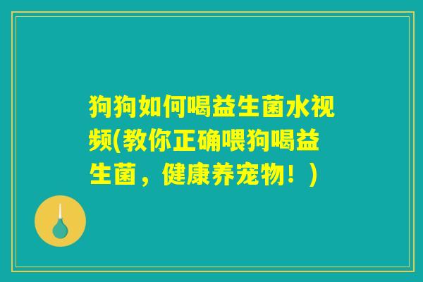 狗狗如何喝益生菌水视频(教你正确喂狗喝益生菌，健康养宠物！)