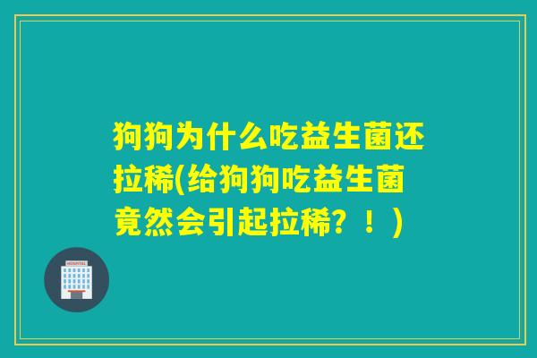 狗狗为什么吃益生菌还拉稀(给狗狗吃益生菌竟然会引起拉稀？！)