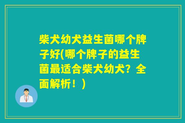 柴犬幼犬益生菌哪个牌子好(哪个牌子的益生菌最适合柴犬幼犬？全面解析！)