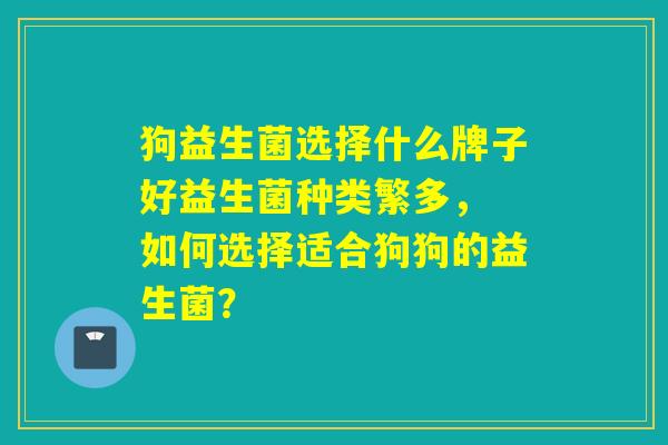 狗益生菌选择什么牌子好益生菌种类繁多， 如何选择适合狗狗的益生菌？
