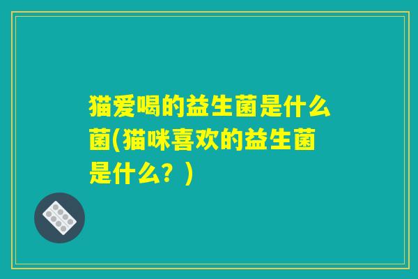 猫爱喝的益生菌是什么菌(猫咪喜欢的益生菌是什么？)