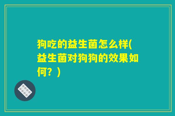 狗吃的益生菌怎么样(益生菌对狗狗的效果如何？)