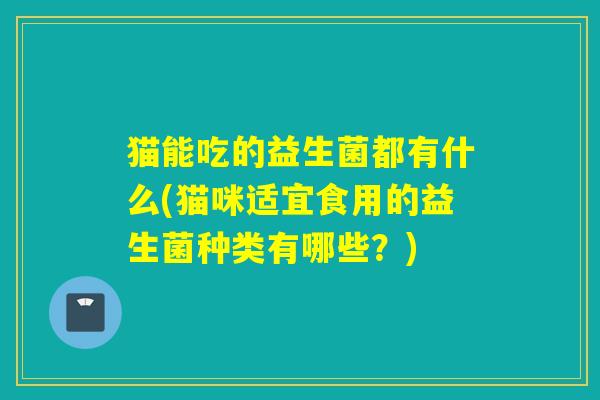 猫能吃的益生菌都有什么(猫咪适宜食用的益生菌种类有哪些？)