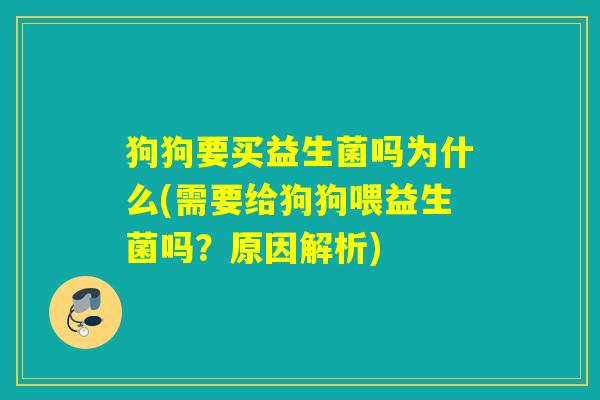 狗狗要买益生菌吗为什么(需要给狗狗喂益生菌吗？原因解析)