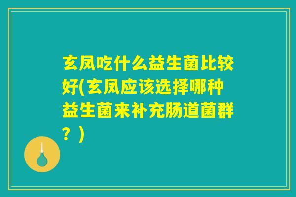 玄凤吃什么益生菌比较好(玄凤应该选择哪种益生菌来补充肠道菌群？)