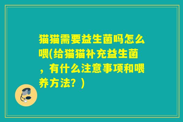 猫猫需要益生菌吗怎么喂(给猫猫补充益生菌，有什么注意事项和喂养方法？)
