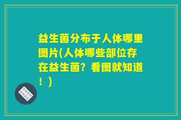 益生菌分布于人体哪里图片(人体哪些部位存在益生菌？看图就知道！)