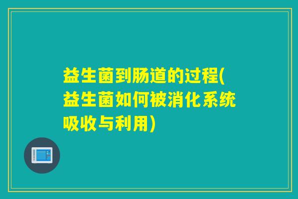 益生菌到肠道的过程(益生菌如何被消化系统吸收与利用)
