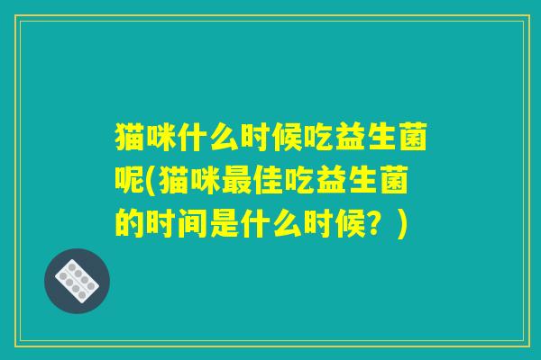 猫咪什么时候吃益生菌呢(猫咪最佳吃益生菌的时间是什么时候？)
