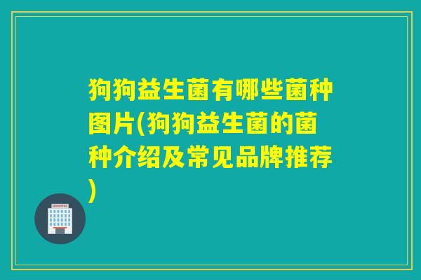 狗狗益生菌有哪些菌种图片(狗狗益生菌的菌种介绍及常见品牌推荐)