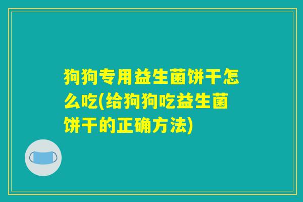 狗狗专用益生菌饼干怎么吃(给狗狗吃益生菌饼干的正确方法)