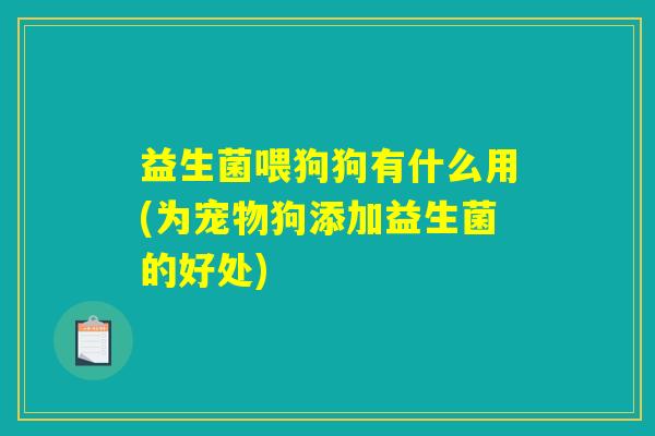 益生菌喂狗狗有什么用(为宠物狗添加益生菌的好处)