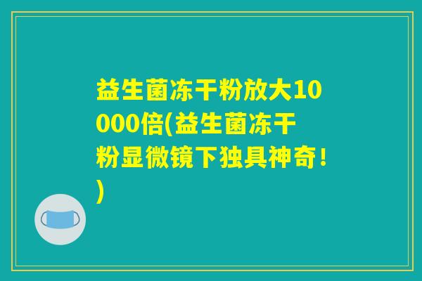 益生菌冻干粉放大10000倍(益生菌冻干粉显微镜下独具神奇！)