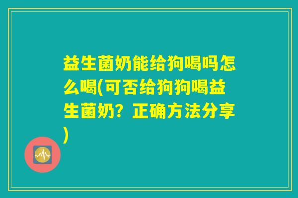 益生菌奶能给狗喝吗怎么喝(可否给狗狗喝益生菌奶？正确方法分享)