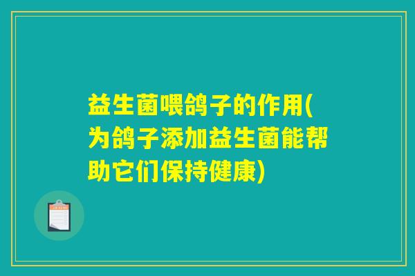 益生菌喂鸽子的作用(为鸽子添加益生菌能帮助它们保持健康)