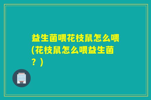 益生菌喂花枝鼠怎么喂(花枝鼠怎么喂益生菌？)