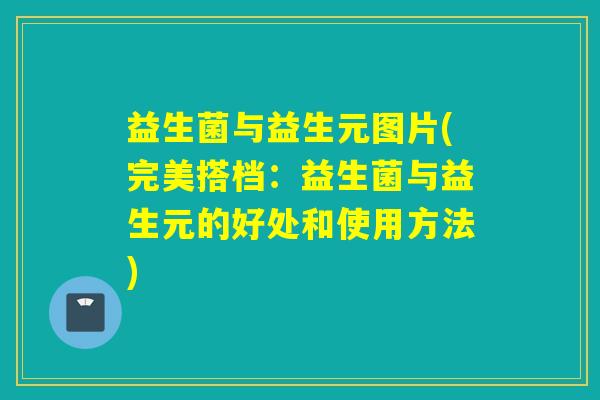 益生菌与益生元图片(完美搭档：益生菌与益生元的好处和使用方法)
