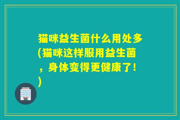 猫咪益生菌什么用处多(猫咪这样服用益生菌，身体变得更健康了！)