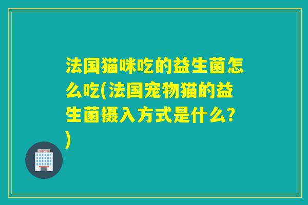法国猫咪吃的益生菌怎么吃(法国宠物猫的益生菌摄入方式是什么？)