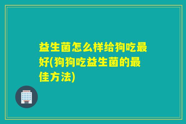 益生菌怎么样给狗吃最好(狗狗吃益生菌的最佳方法)