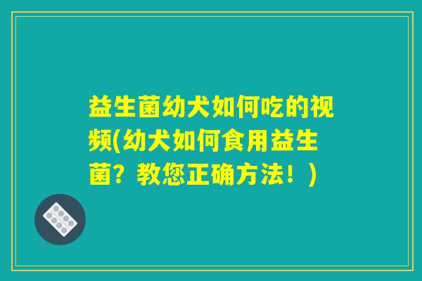 益生菌幼犬如何吃的视频(幼犬如何食用益生菌？教您正确方法！)