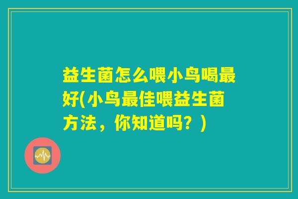 益生菌怎么喂小鸟喝最好(小鸟最佳喂益生菌方法，你知道吗？)