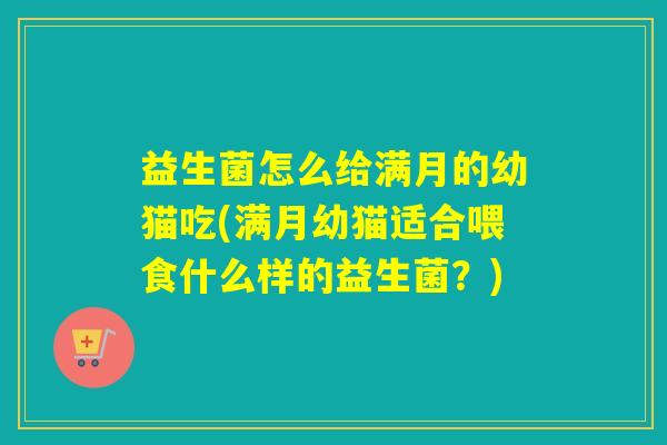 益生菌怎么给满月的幼猫吃(满月幼猫适合喂食什么样的益生菌？)