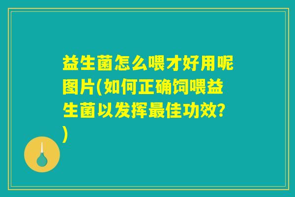 益生菌怎么喂才好用呢图片(如何正确饲喂益生菌以发挥最佳功效？)