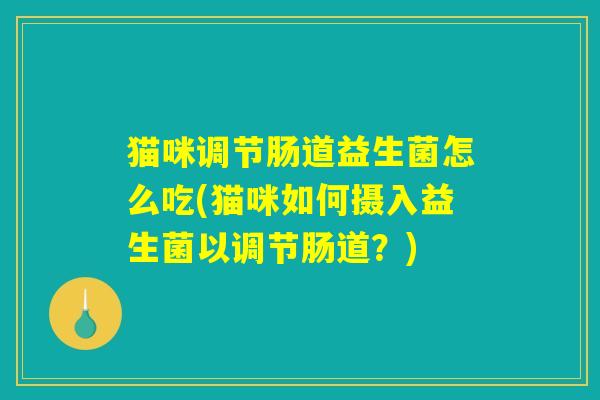 猫咪调节肠道益生菌怎么吃(猫咪如何摄入益生菌以调节肠道？)