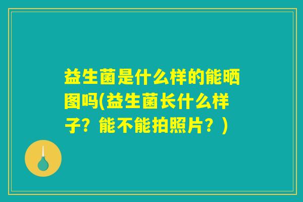 益生菌是什么样的能晒图吗(益生菌长什么样子？能不能拍照片？)