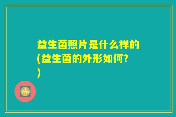 详细阅读:益生菌照片是什么样的(益生菌的外形如何?) 益生菌照片是什么样的(益生菌的外形如何?)