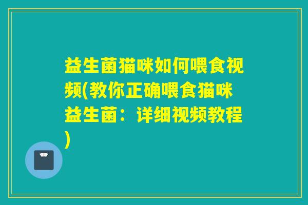 益生菌猫咪如何喂食视频(教你正确喂食猫咪益生菌：详细视频教程)