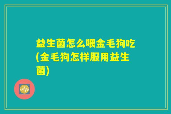 益生菌怎么喂金毛狗吃(金毛狗怎样服用益生菌)