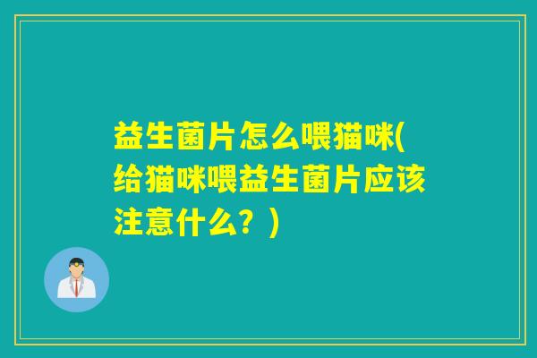 益生菌片怎么喂猫咪(给猫咪喂益生菌片应该注意什么？)