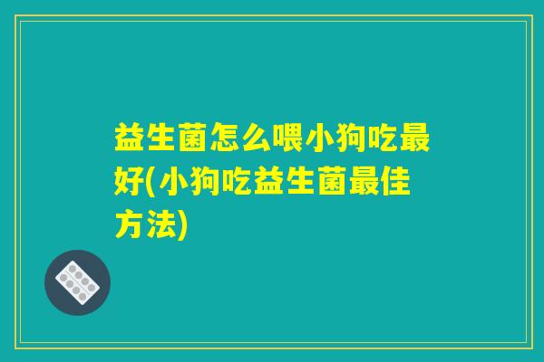 益生菌怎么喂小狗吃好(小狗吃益生菌佳方法) 益生菌怎么喂小狗吃好(小狗吃益生菌佳方法)