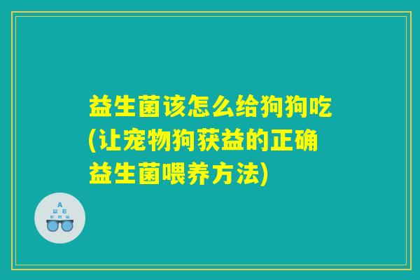 益生菌该怎么给狗狗吃(让宠物狗获益的正确益生菌喂养方法)