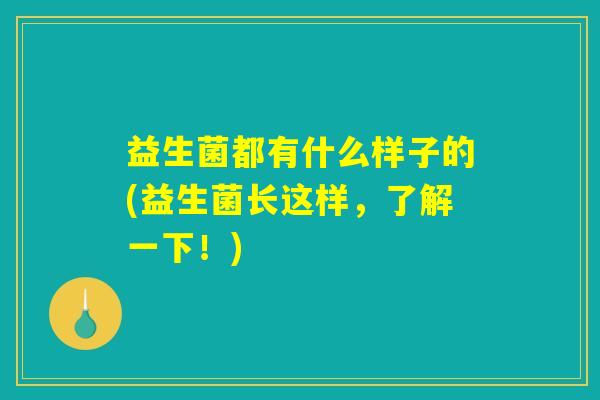 益生菌都有什么样子的(益生菌长这样，了解一下！)