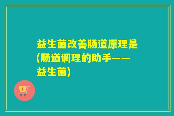 益生菌改善肠道原理是(肠道调理的助手——益生菌)