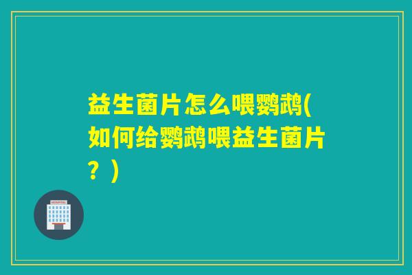 益生菌片怎么喂鹦鹉(如何给鹦鹉喂益生菌片?) 益生菌片怎么喂鹦鹉(如何给鹦鹉喂益生菌片?)