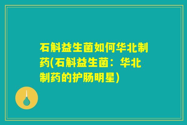 石斛益生菌如何华北制药(石斛益生菌：华北制药的护肠明星)