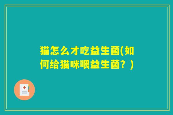猫怎么才吃益生菌(如何给猫咪喂益生菌？)