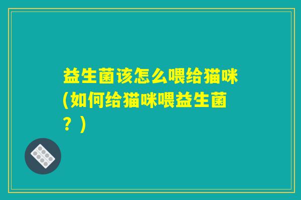 益生菌该怎么喂给猫咪(如何给猫咪喂益生菌？)