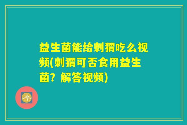 益生菌能给刺猬吃么视频(刺猬可否食用益生菌？解答视频)
