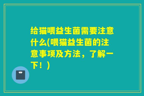 给猫喂益生菌需要注意什么(喂猫益生菌的注意事项及方法,了解一下!) 给猫喂益生菌需要注意什么(喂猫益生菌的注意事项及方法,了解一下!)