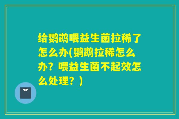 给鹦鹉喂益生菌拉稀了怎么办(鹦鹉拉稀怎么办？喂益生菌不起效怎么处理？)