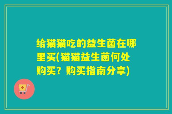给猫猫吃的益生菌在哪里买(猫猫益生菌何处购买？购买指南分享)