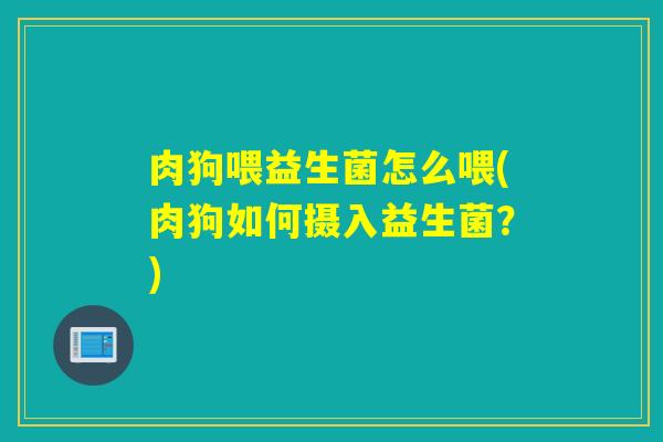 肉狗喂益生菌怎么喂(肉狗如何摄入益生菌？)