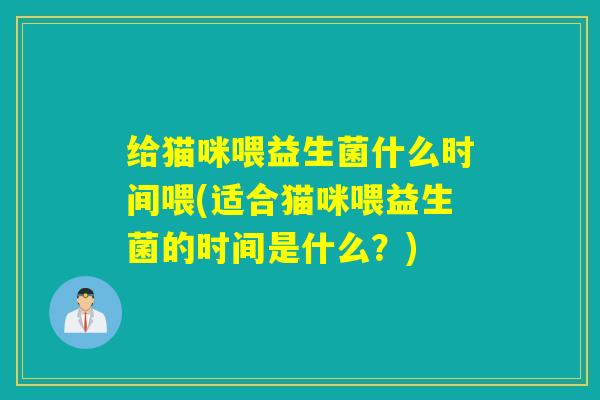 给猫咪喂益生菌什么时间喂(适合猫咪喂益生菌的时间是什么？)