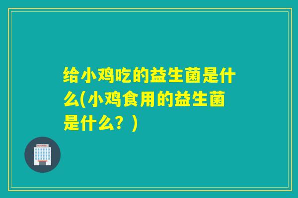 给小鸡吃的益生菌是什么(小鸡食用的益生菌是什么？)